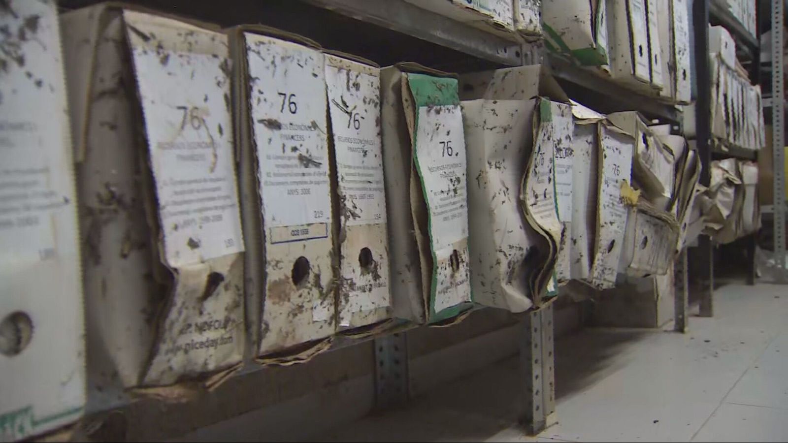 Les Terres de l'Ebre una setmana després dels aiguats