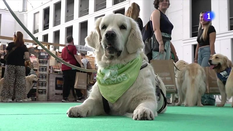 El paradís per als amants dels animals de companyia
