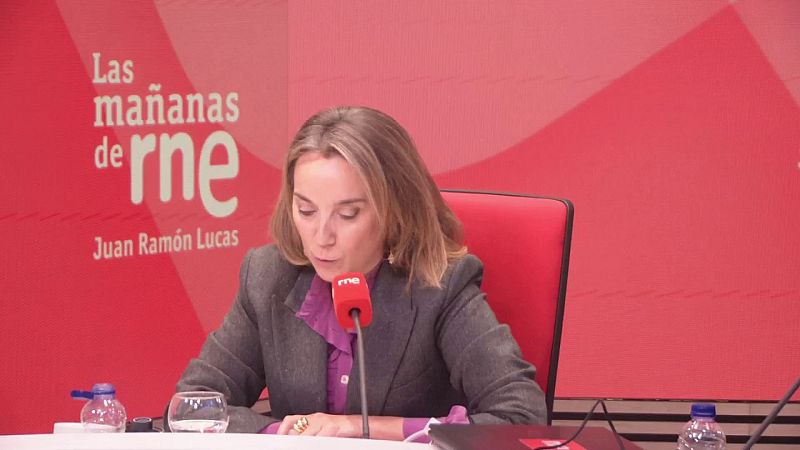 Gamarra dice que el PP ya pagó por la Gürtel y que ahora debe haber "responsabilidades políticas" por la corrupción del Gobierno