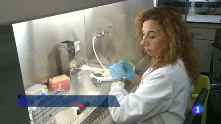 L'Informatiu - Una nova classificació mol.lecular del tumor de fetge permetrà trobar fàrmacs