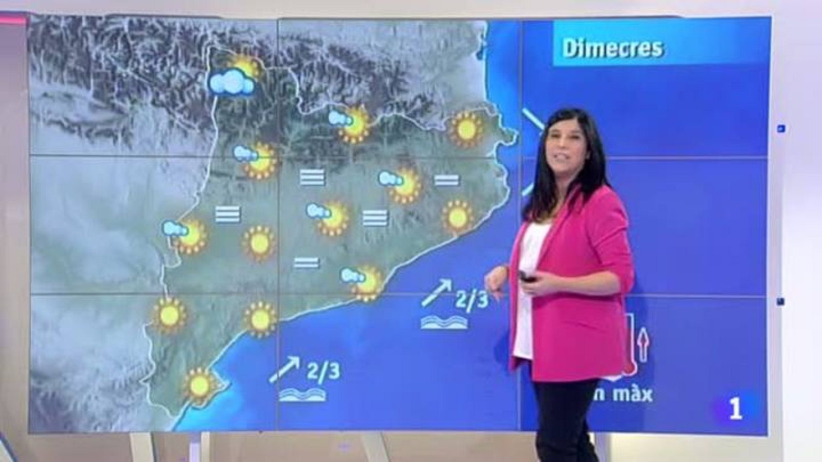 El temps - 29/01/2013