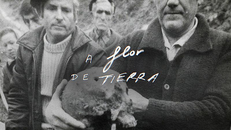 Trailer 'A flor de tierra' - A flor de tierra | Ver tráiler