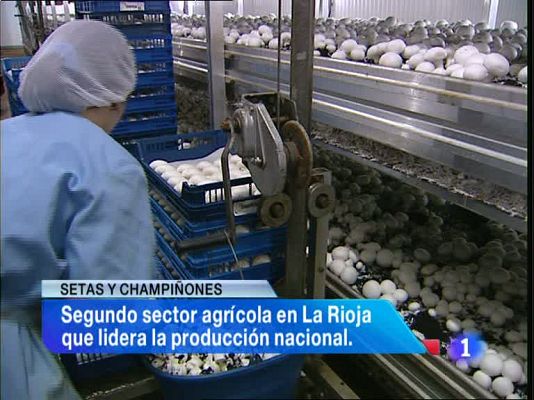 Informativo Telerioja - Telerioja en 2' - 29/01/13