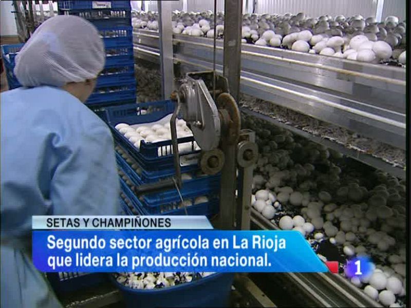 Telerioja en 2' - 29/01/13 | Ver