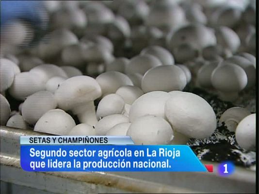 Informativo Telerioja - Informativo Telerioja 2 - 29/01/13