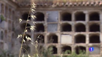 Comienzan las identificaciones de la fosa de San Eufrasio (Ja�n) | Ver ahora