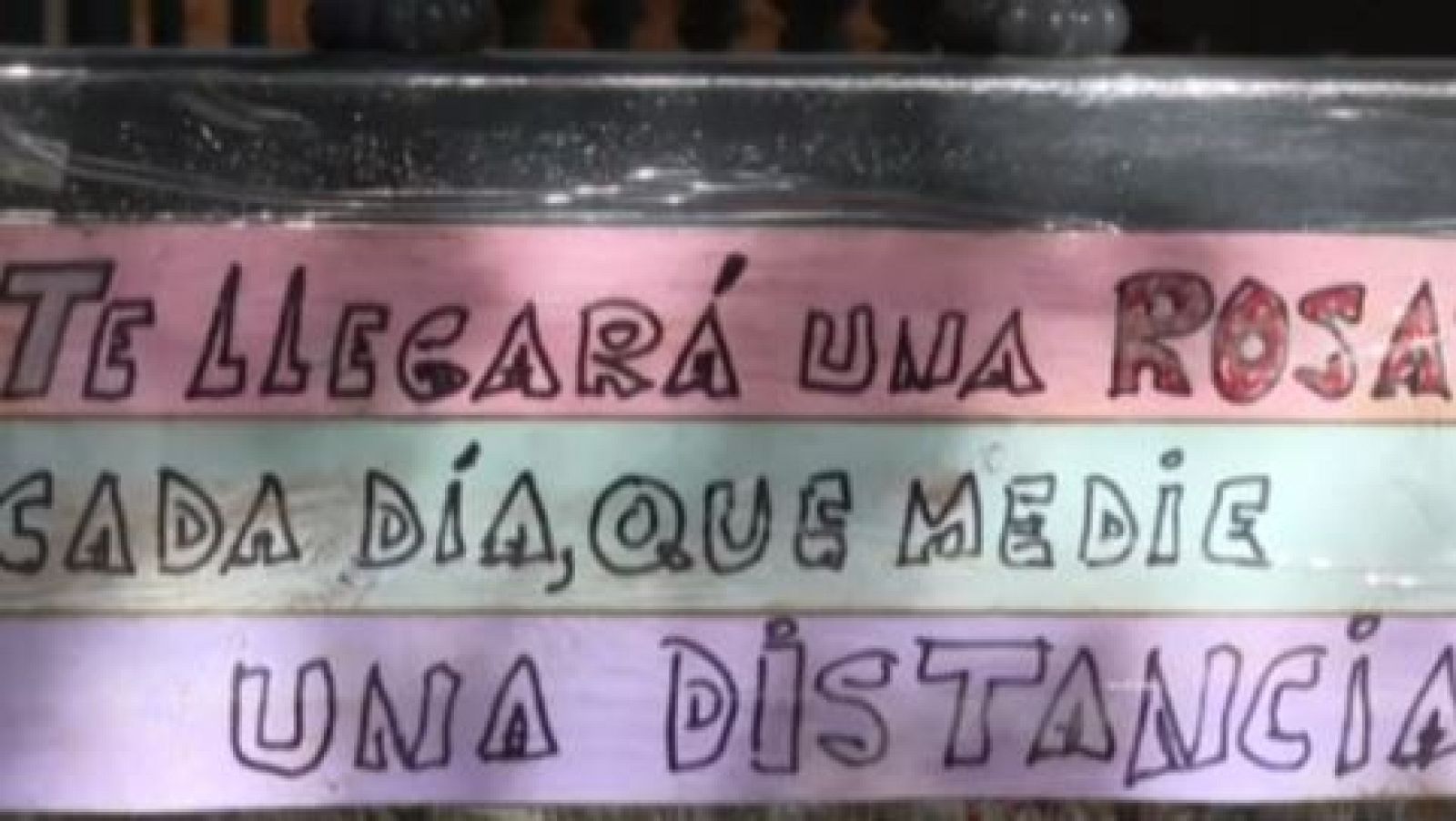 La Fiscalía de Sevilla abre dos investigaciones por el suicidio de Sandra Peña - Directo al grano | Ver