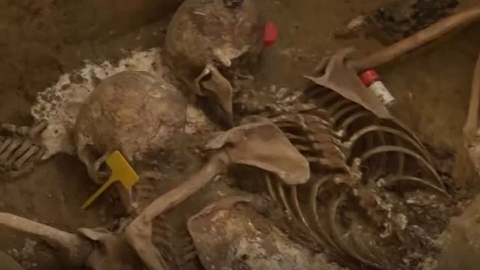 Comienza la exhumación de la fosa más grande del franquismo y de la Guerra Civil de Aragón - Directo al grano | Ver