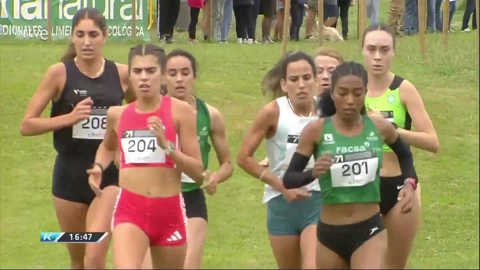 Cross - Cross Internacional de Zornotza. Carrera Femenina y Masculina - Cross | Ver