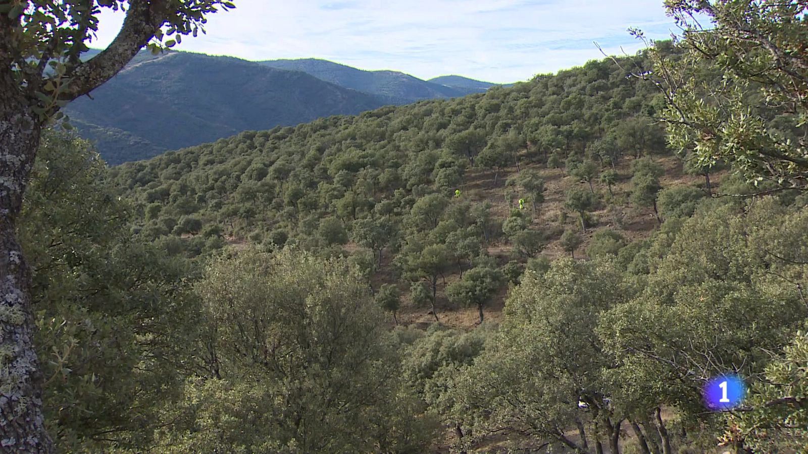 Informativo telerioja 2 - 21-10-2025 | Ver