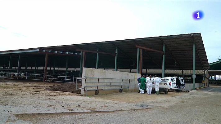 L'Informatiu - Unió de Pagesos reclama vacunar tot el bestiar català