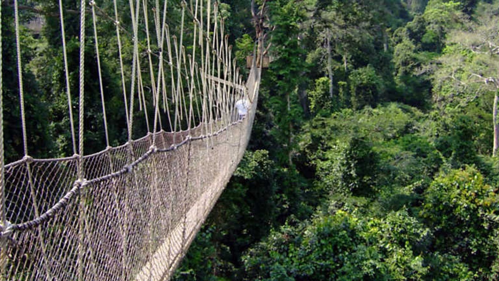 Grandes documentales - Congo. Espíritus de la selva - ver ahora