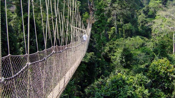 Grandes documentales - Congo. Espíritus de la selva