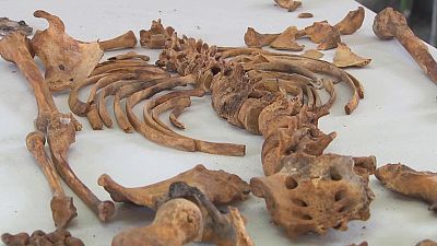 Exhumacin de la fosa del antiguo cementerio de Caada Rosal (Sevilla) | Ver ahora