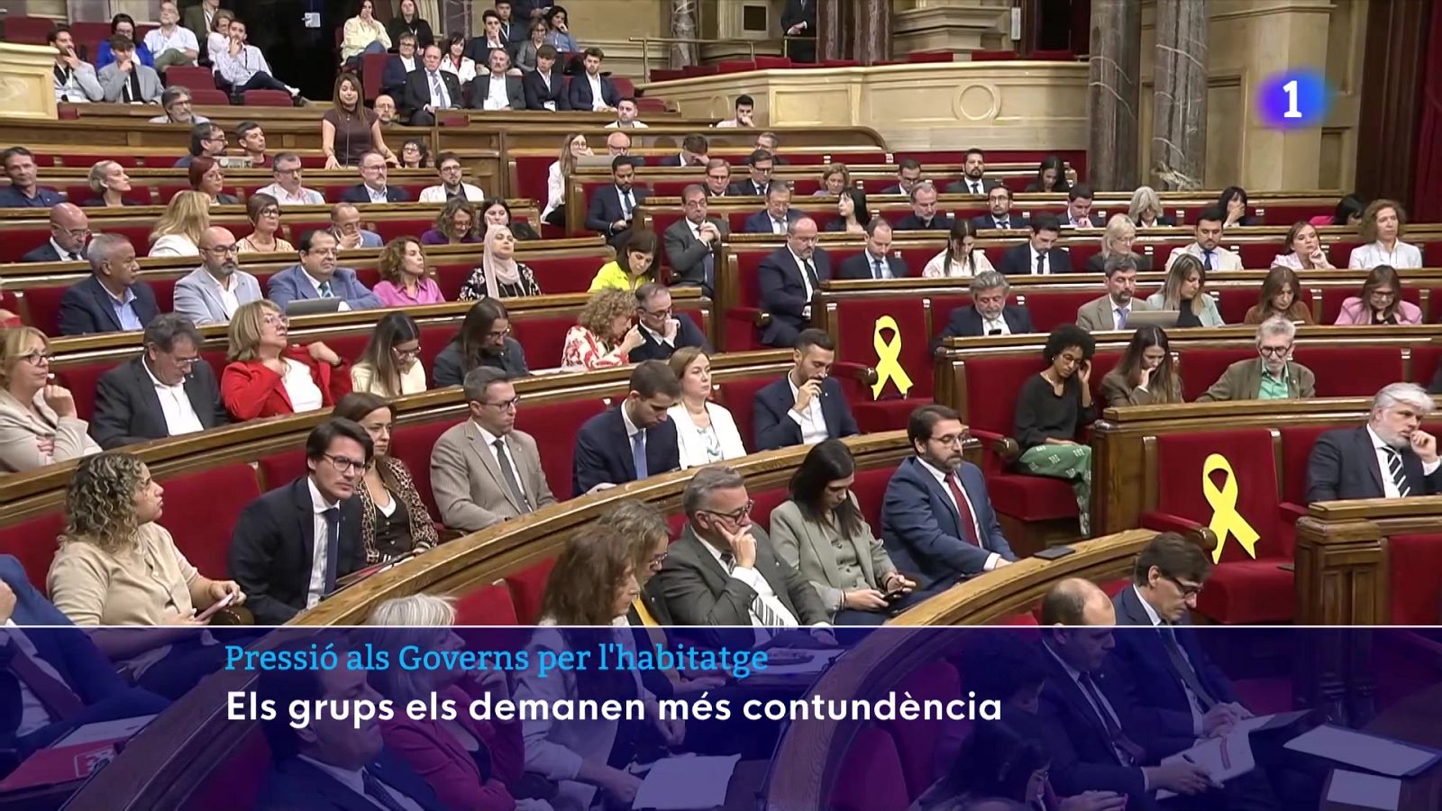 La CUP demana Illa limitar la quantitat de pisos per persona - L'Informatiu | Veure