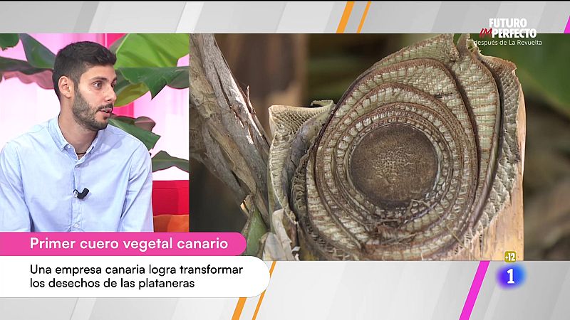 Cerca de ti - 23/10/2025 - Cerca de ti | Ver