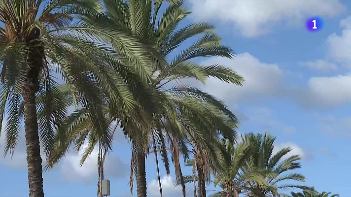 L'Informatiu - Dijous marcat per les fortes ventades a bona part de Catalunya