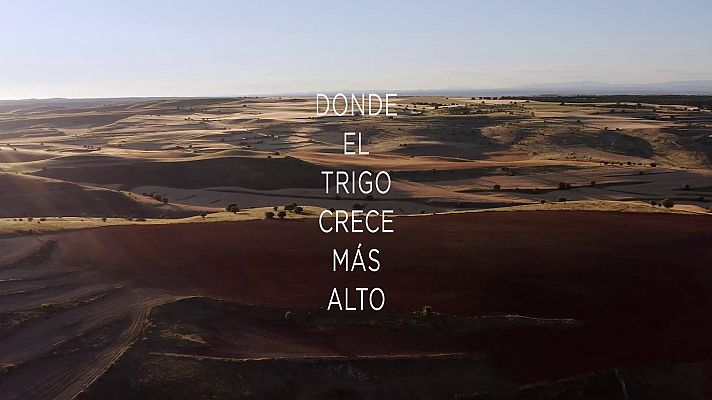 Modo Digital - 'Donde el trigo crece más alto'