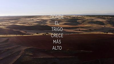 'Donde el trigo crece m�s alto' | Ver ahora