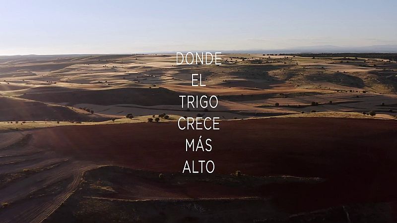 'Donde el trigo crece más alto' | Ver ahora