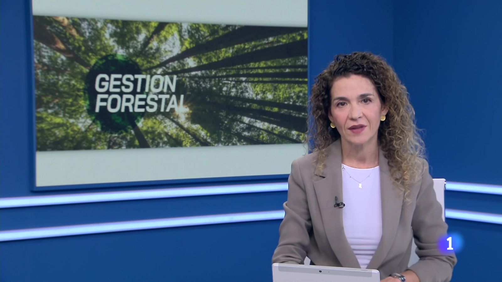 La gestión forestal es esencial para la conservación de los bosques de La Rioja | Ver