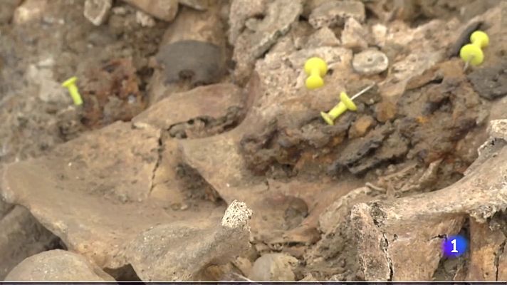 Noticias Andalucía - Continúan las excavaciones en la fosa del cementerio de la Salud en Córdoba