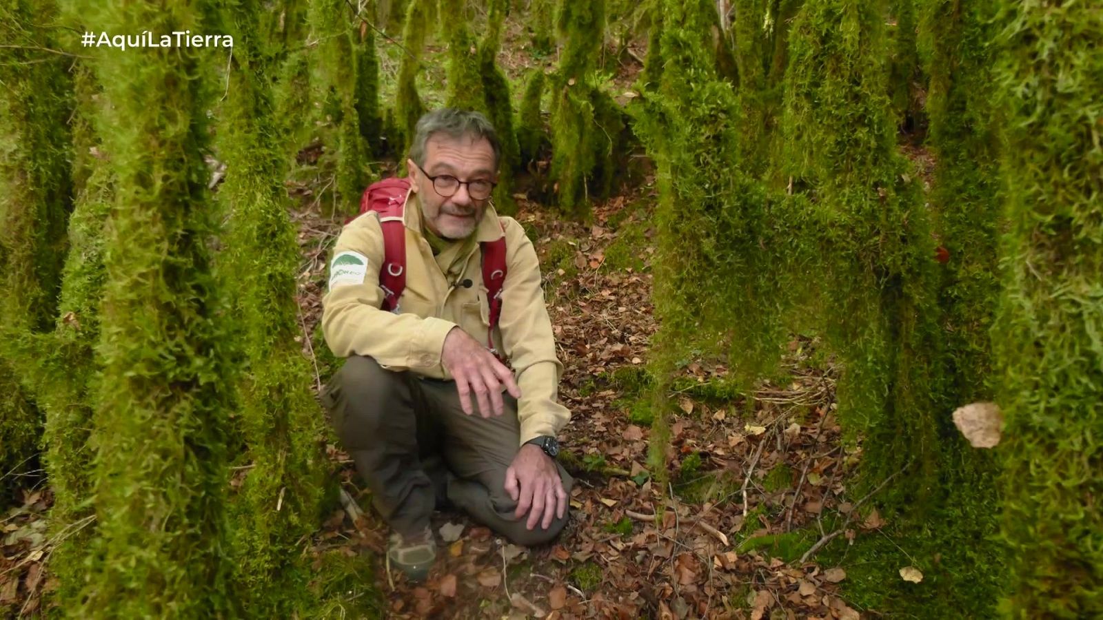 Aquí la Tierra - 24/10/25 - Aquí la Tierra | Ver