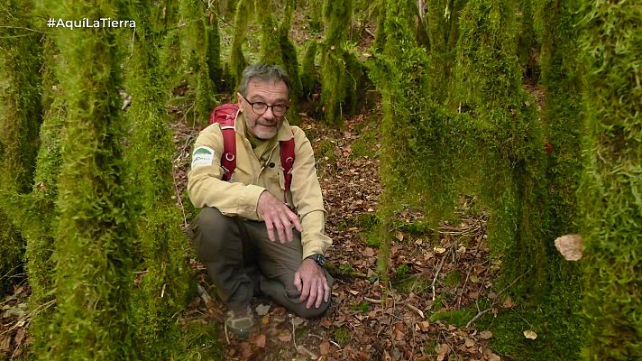 Aquí la Tierra - Aquí la Tierra - 24/10/25