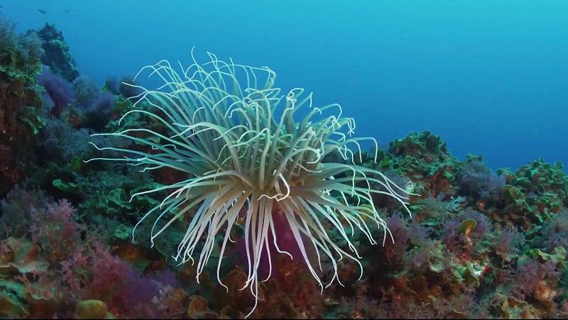 Agenda natural | Ver