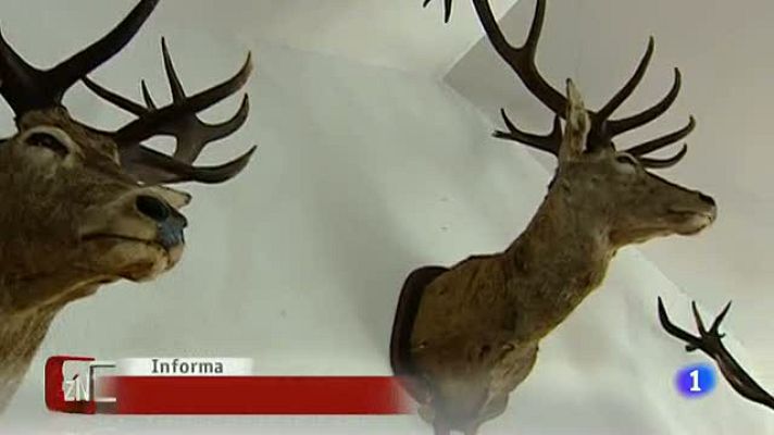 D Corazón - Jesulín de Ubrique y sus animales disecados