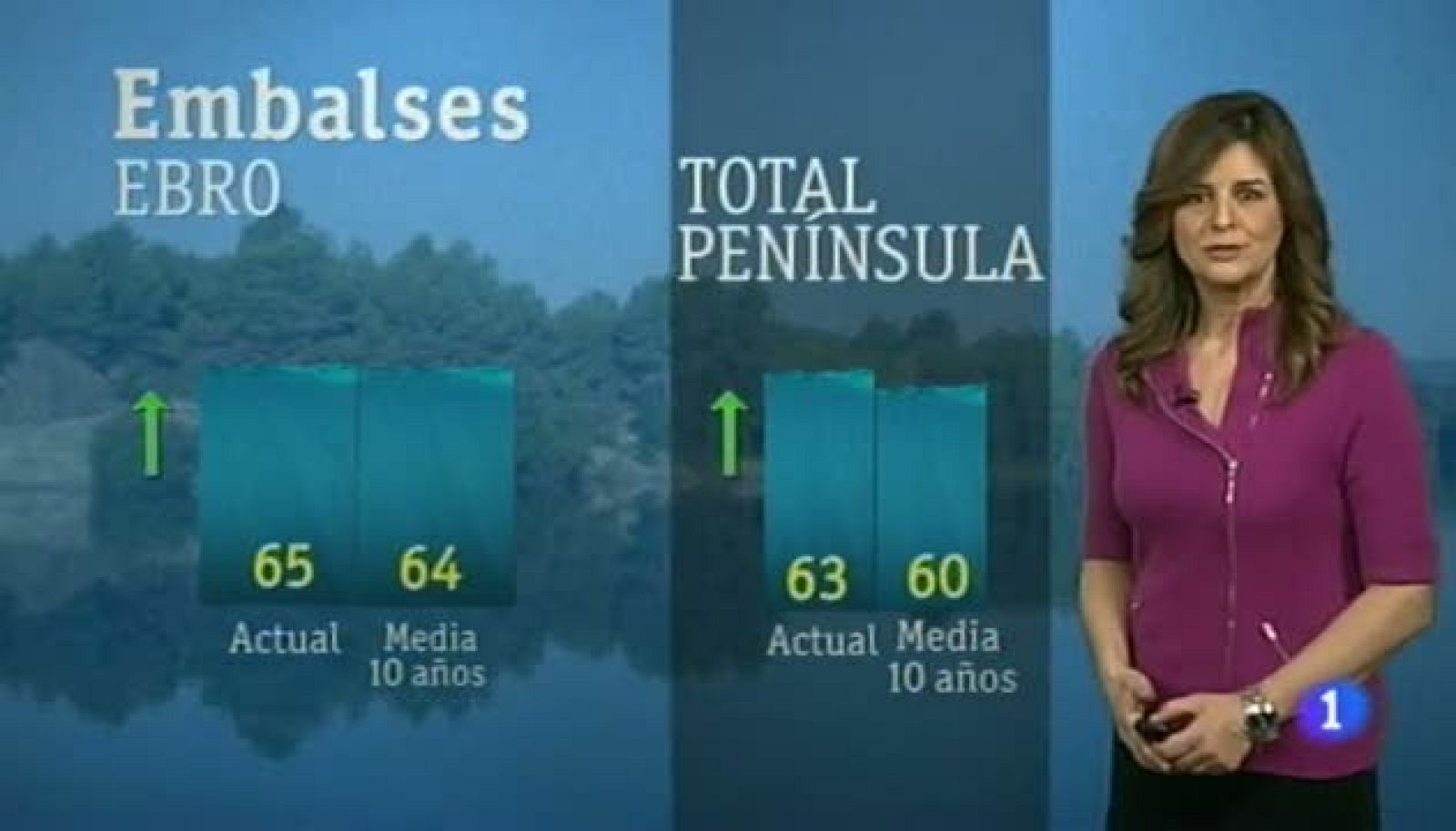 El tiempo en Aragón - 30/01/13 | Ver