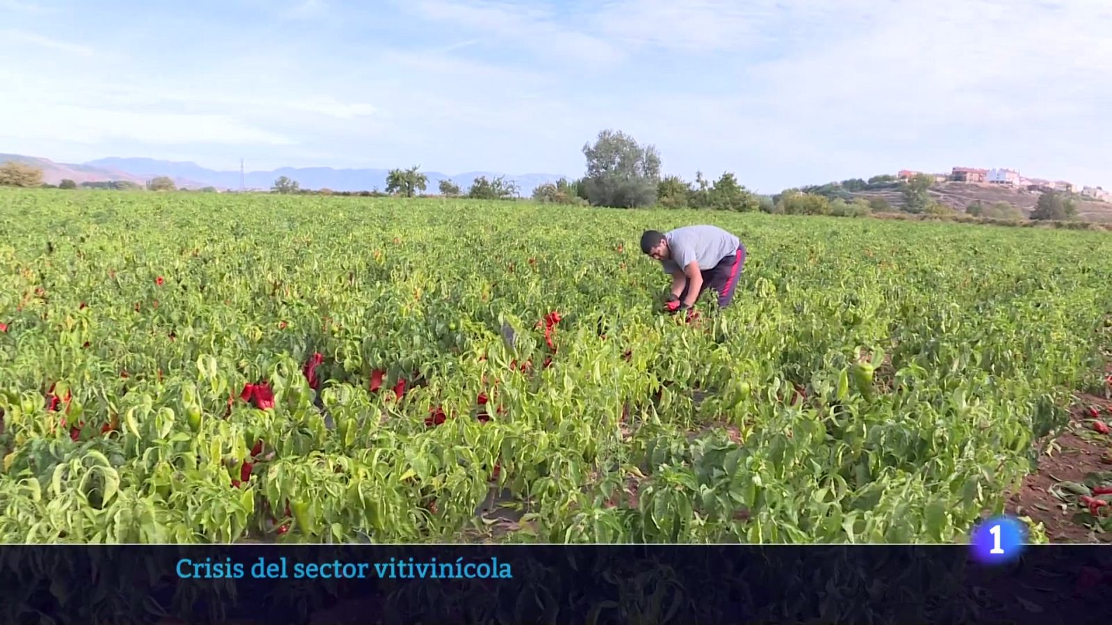 Telerioja en 2 - 28-10-2025 - Ver ahora | Ver