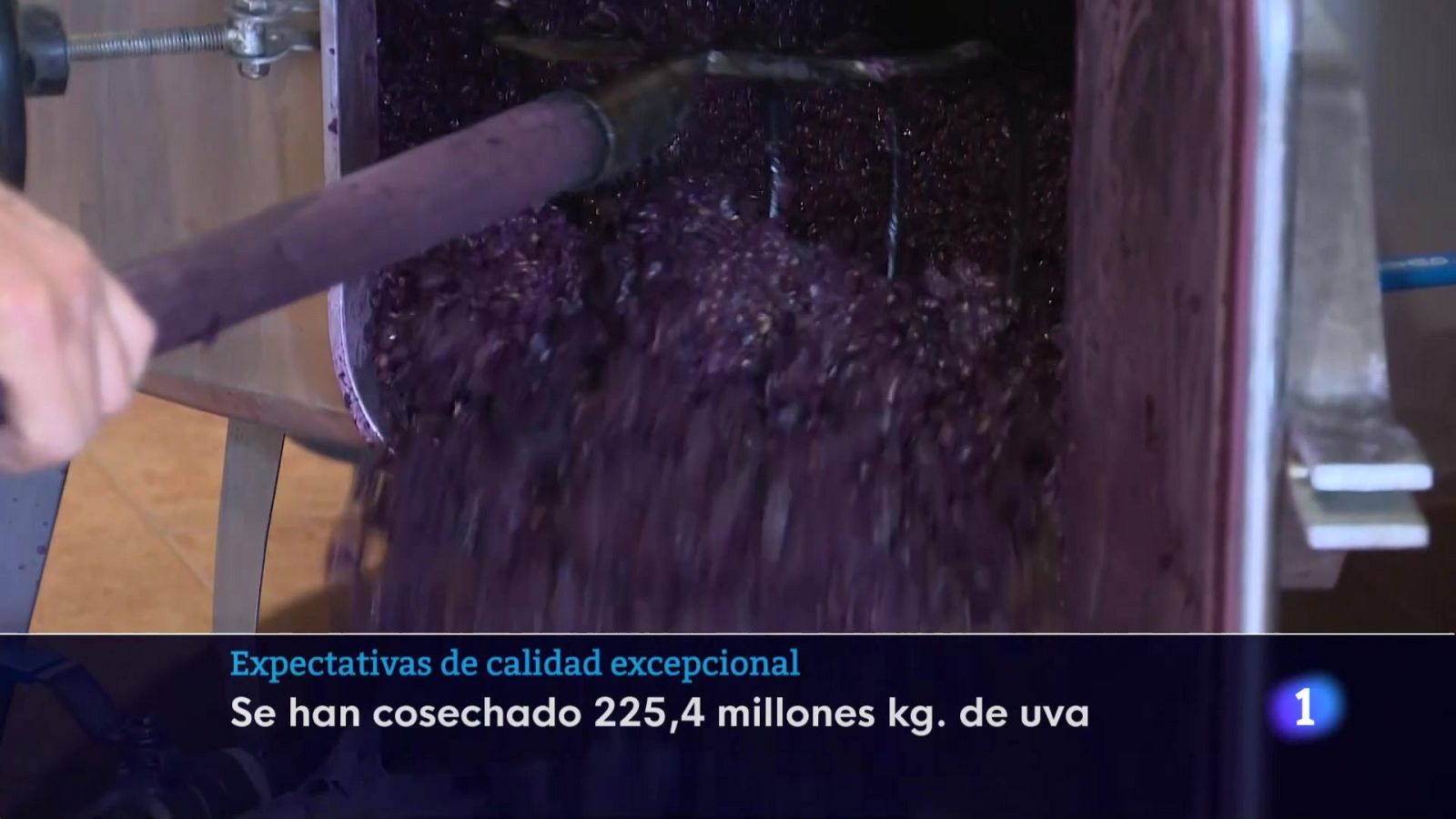 Informativo Telerioja 2 - 28-10-2025 - Informativo Telerioja | Ver
