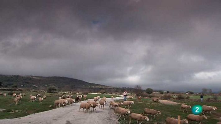 Biodiario - Biodiario - 30/01/13