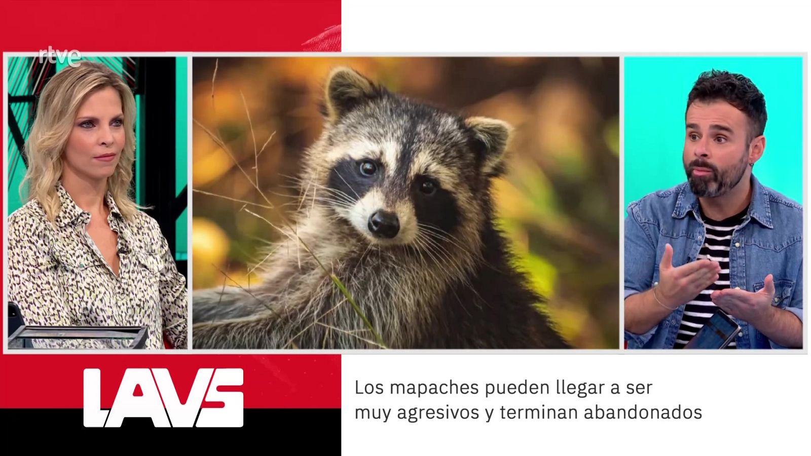 Ricardo Moure. Especies invasoras | Ver