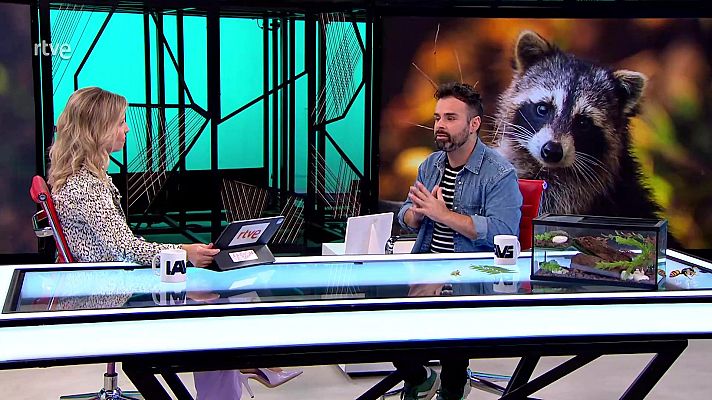 La aventura del Saber - La aventura del saber - 30/10/25