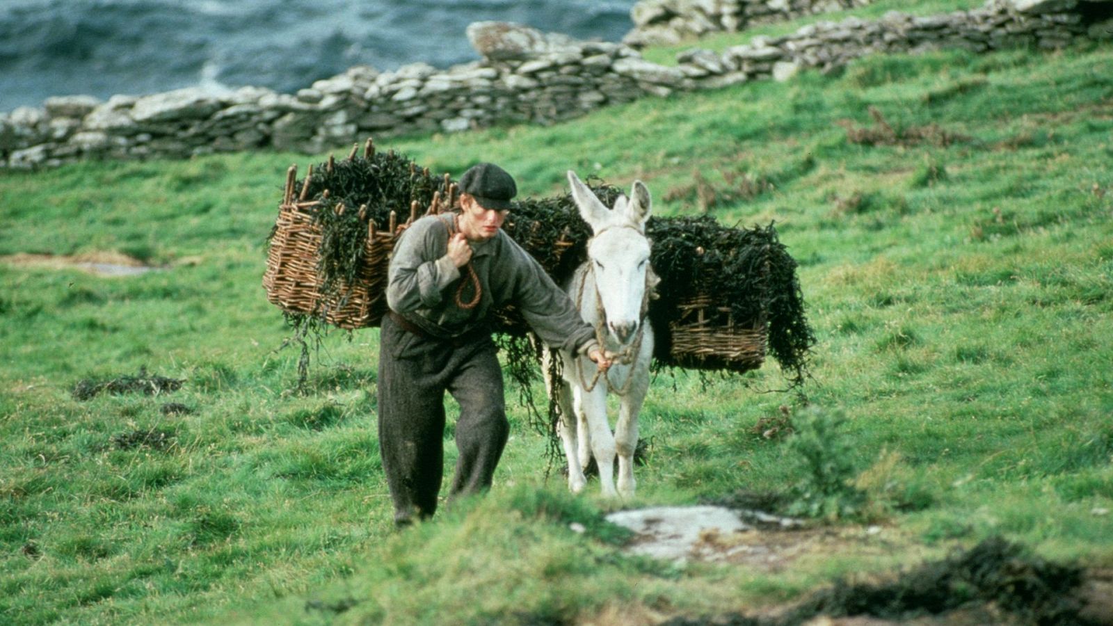 Un horizonte muy lejano | Ver películas gratis en RTVE Play - Cine internacional | Ver película