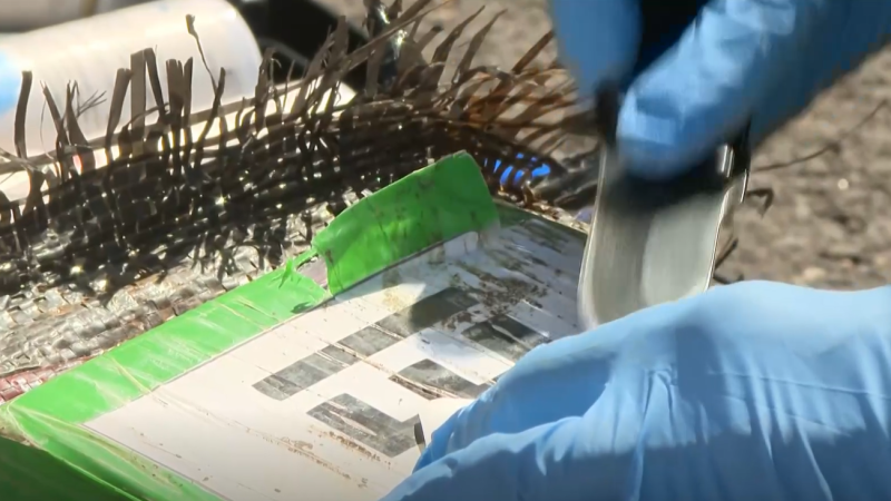 La Policía Nacional intercepta un barco desde Panamá rumbo a Vigo con 4.000 kilos de cocaína