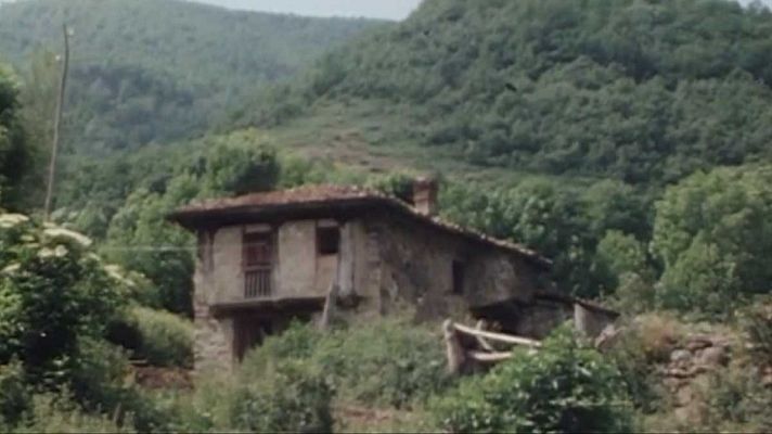 España, historia inmediata - La guerrilla