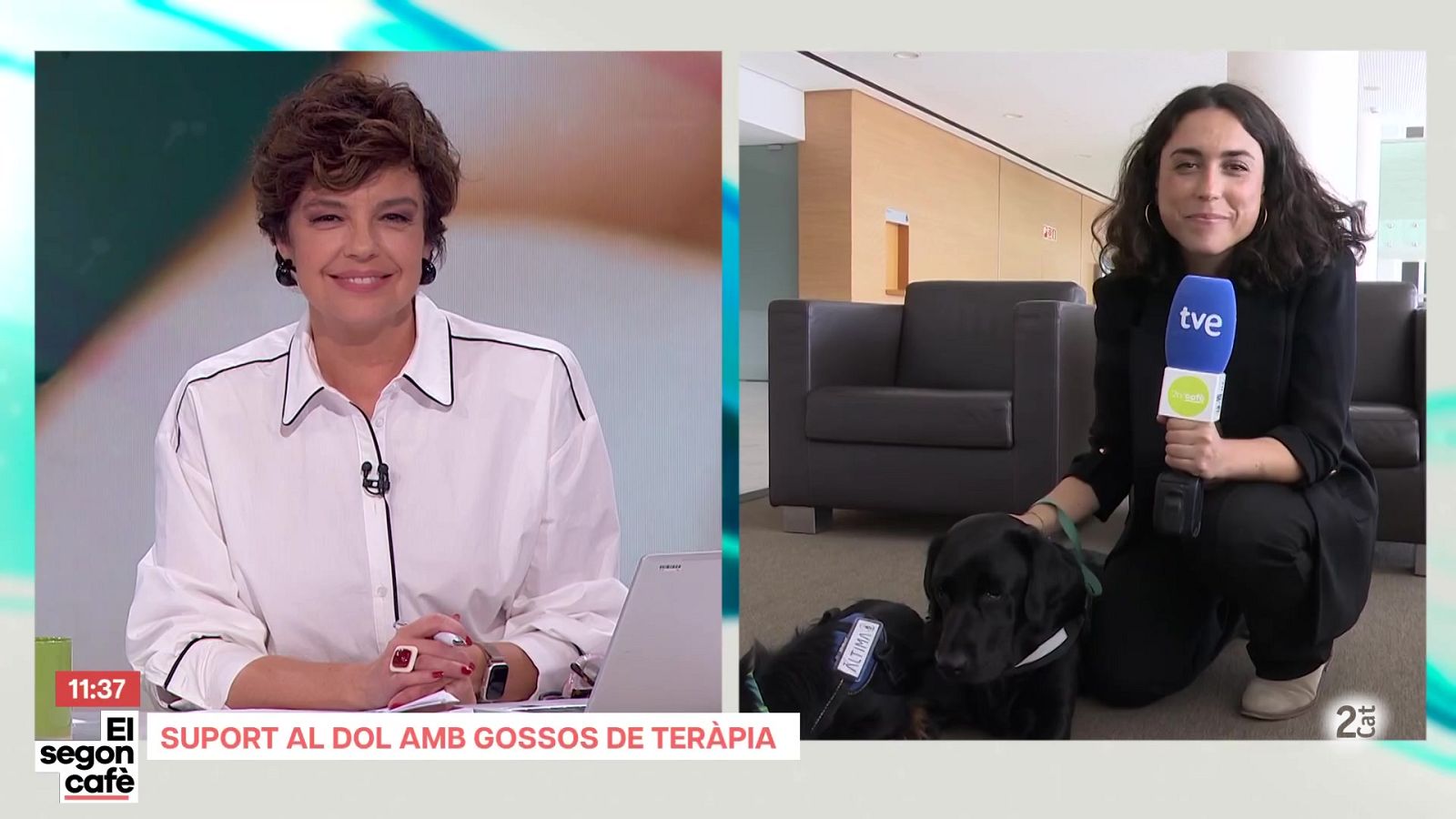 Gossos de teràpia - El segon cafè - El segon cafè | Veure