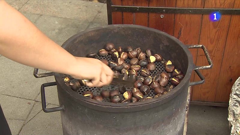 Les castanyes s'encareixen enguany per la sequera i els incendis