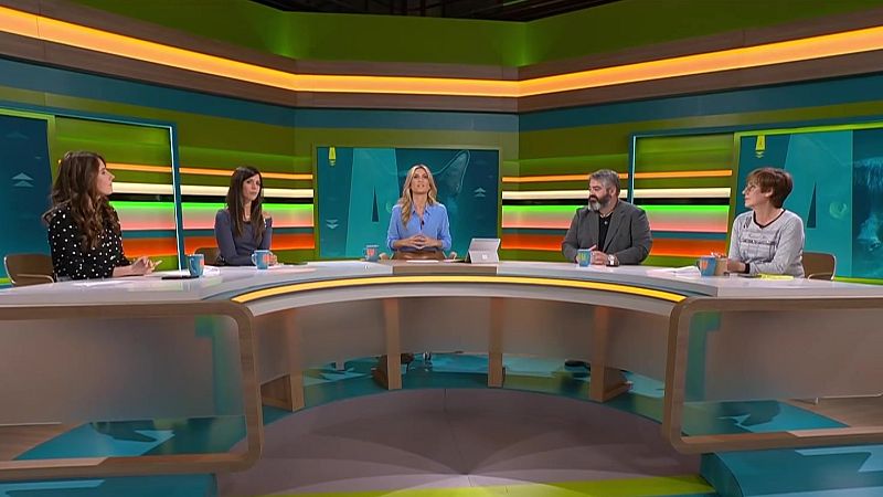 L'Altaveu – Gats negres, estafador i la Castanyada