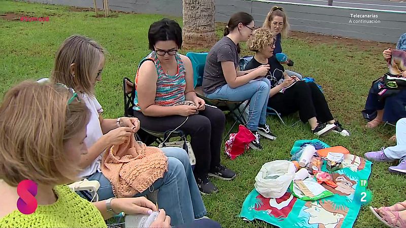 Somos 8 - 31/10/2025 - Somos 8 | Ver