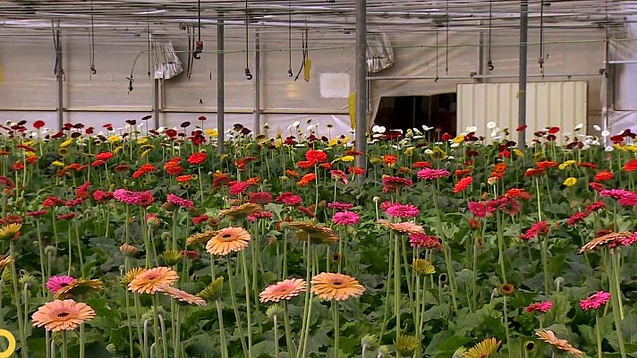 Agrosfera - Agrosfera - 01/11/25