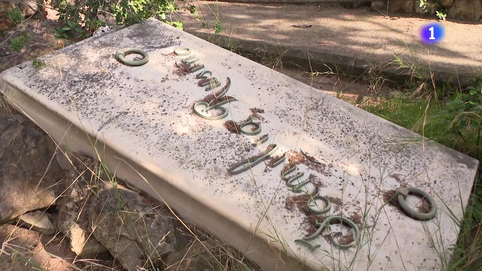 Aprendre a conviure amb la realitat de la mort