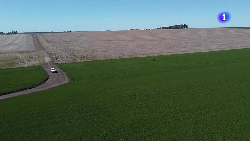 El canvi climàtic passa factura a la biodiversitat