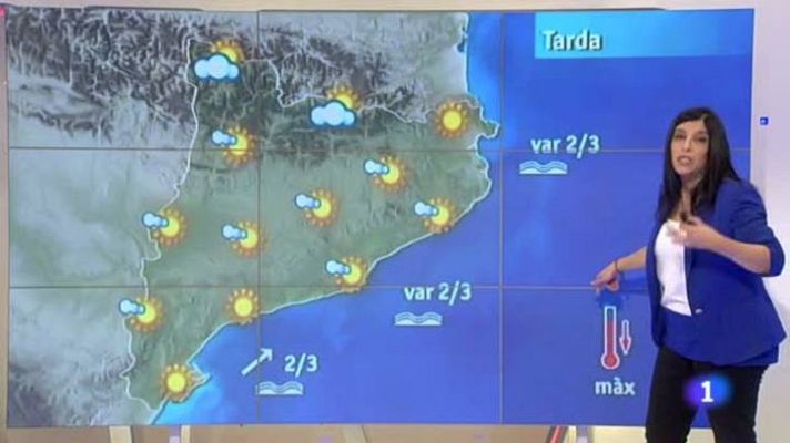 L'Informatiu - El Temps - 31/01/2013