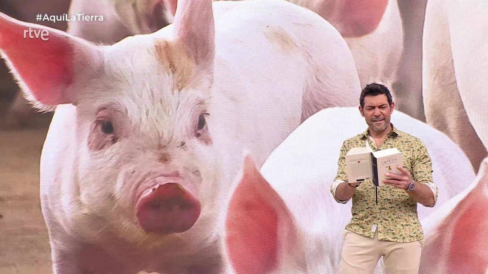 Aquí la Tierra - 02/11/25 - Aquí la Tierra | Ver