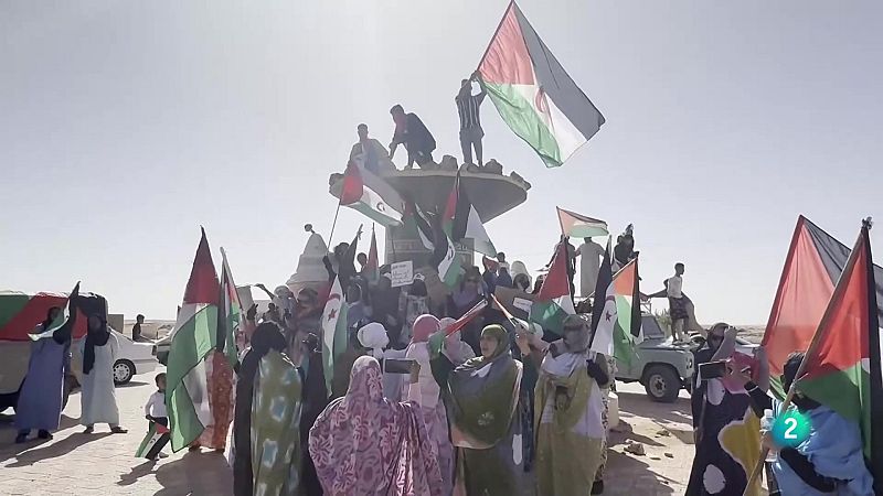 Telecanarias Tarde - 03/11/2025 | Ver