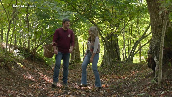 Aquí la Tierra - Aquí la Tierra - 03/11/25